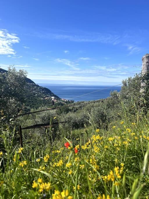Olivetta House Holiday Монеглия Екстериор снимка