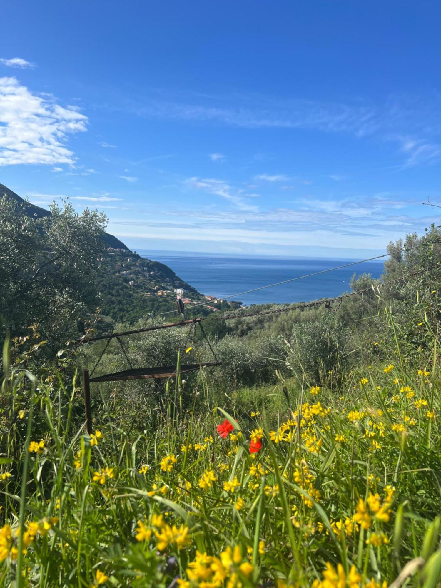 Olivetta House Holiday Монеглия Екстериор снимка